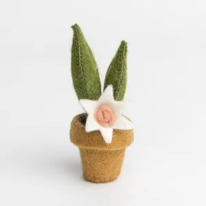 Blooming Snake Plant Ornament