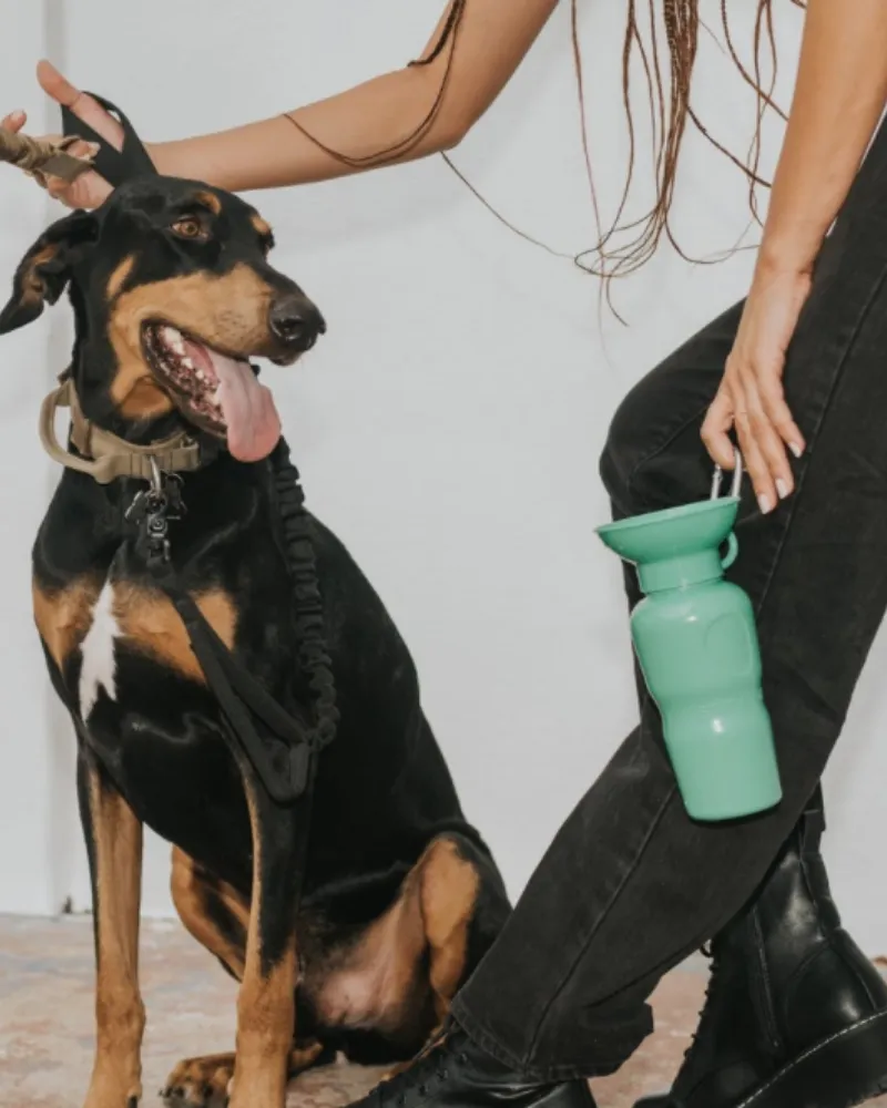 Dog Travel Water Bottle (FINAL SALE)