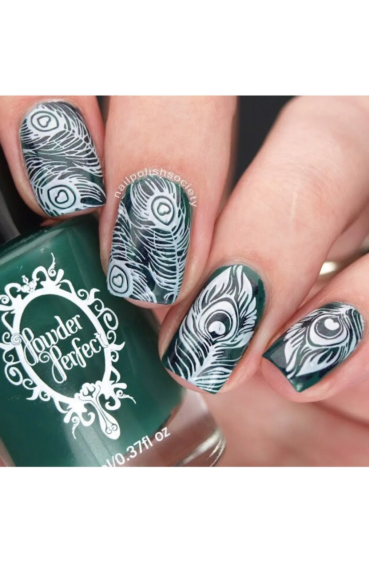 Fabulous Feathers - Uber Chic Mini Stamping Plate