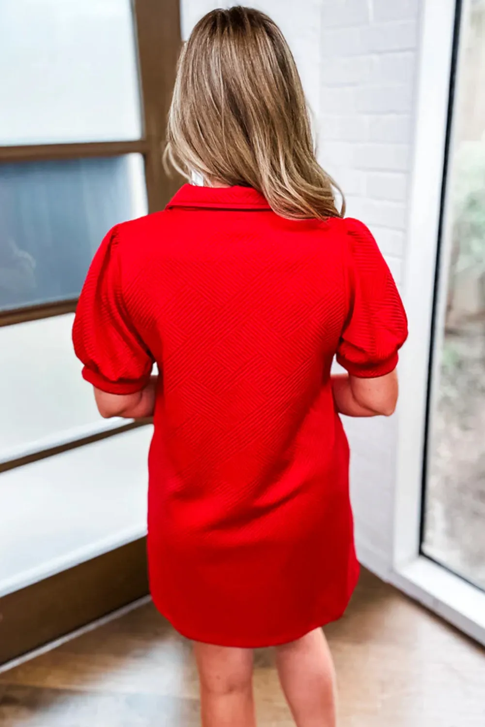 Fiery Red V Neck Puff Sleeve Textured Mini Dress