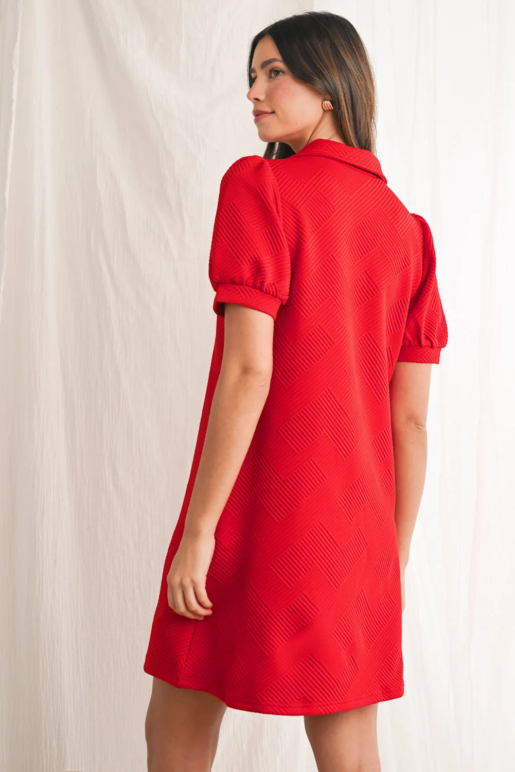 Fiery Red V Neck Puff Sleeve Textured Mini Dress