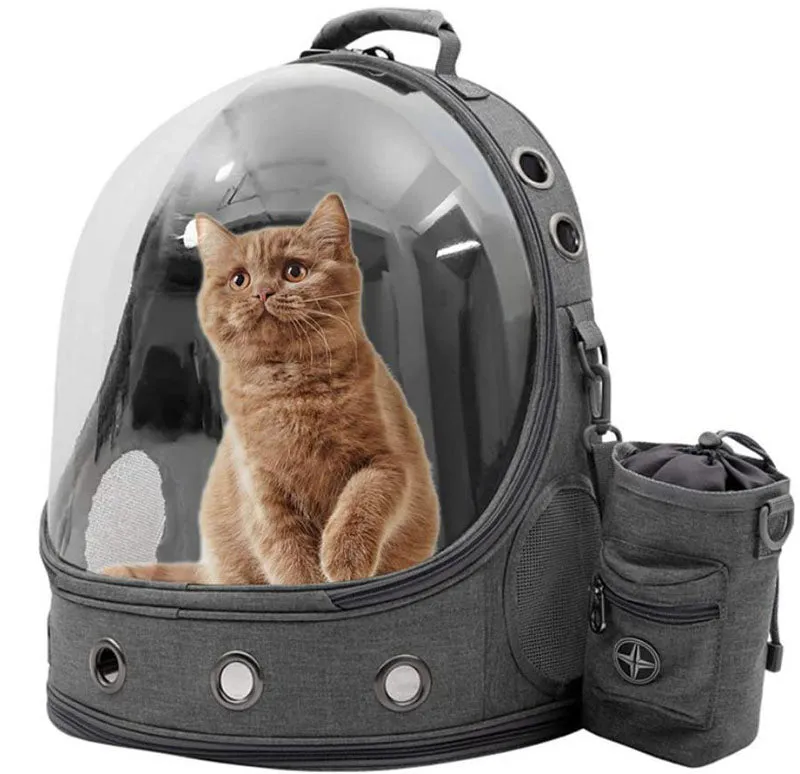 New transparent pet space backpack for cats and dogs