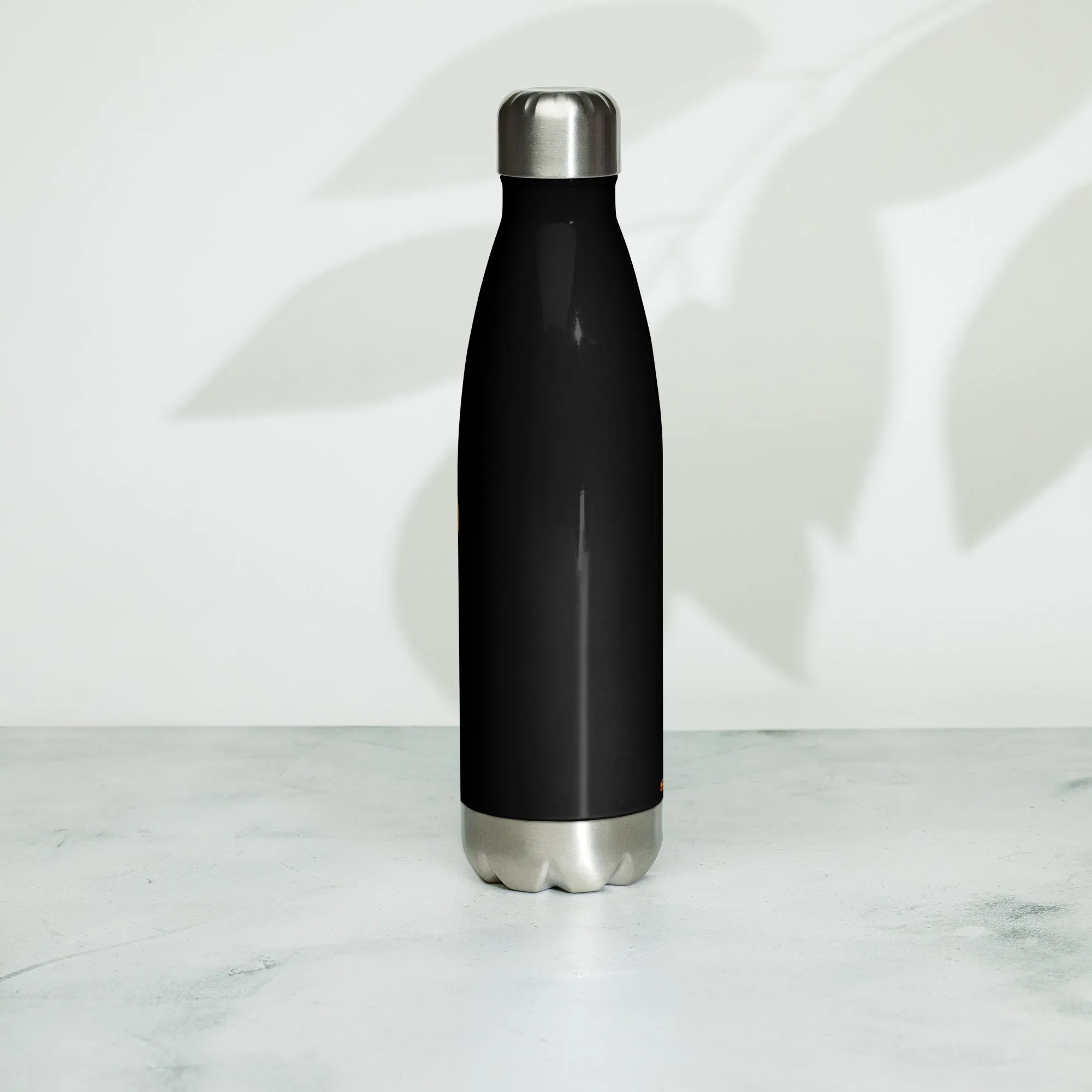 THE TRU MC BRAND Stainless steel water bottle