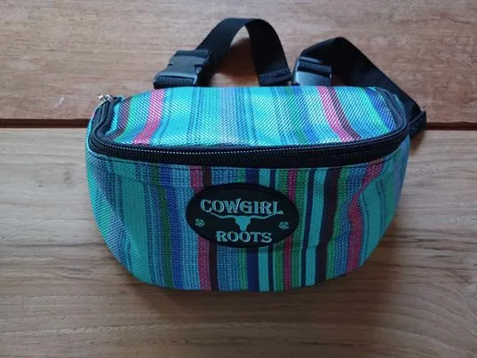 Turquoise Serape Stripe Saddle Clutch Saddle Bag